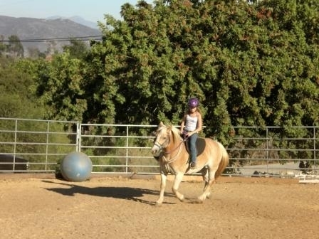 Have fun learning to ride.