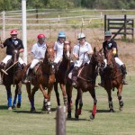 IMG_8456_120520